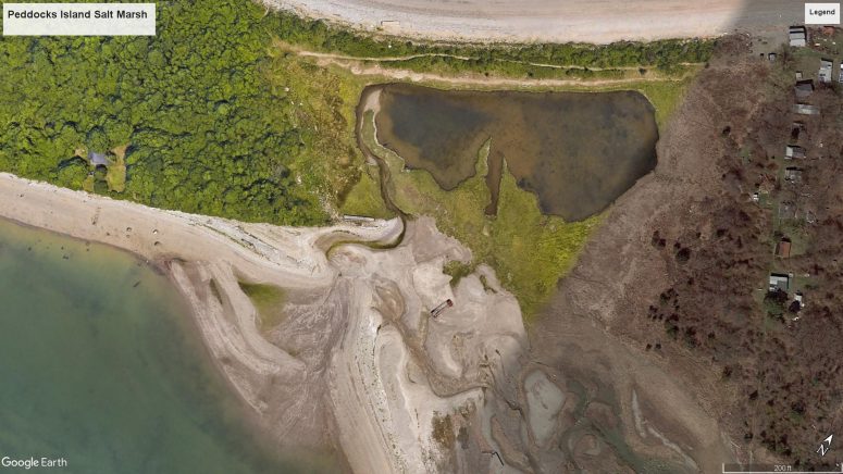 Peddocks Island Salt Marsh