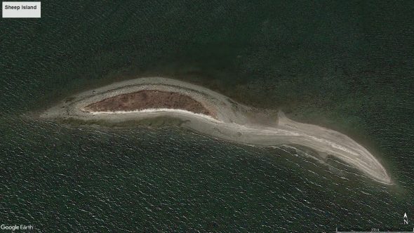 Sheep Island (click to enlarge)