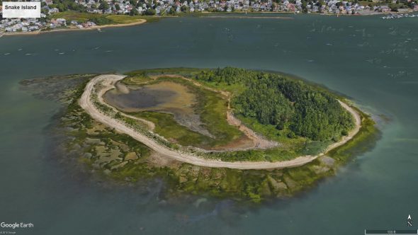 Snake Island (click to enlarge)