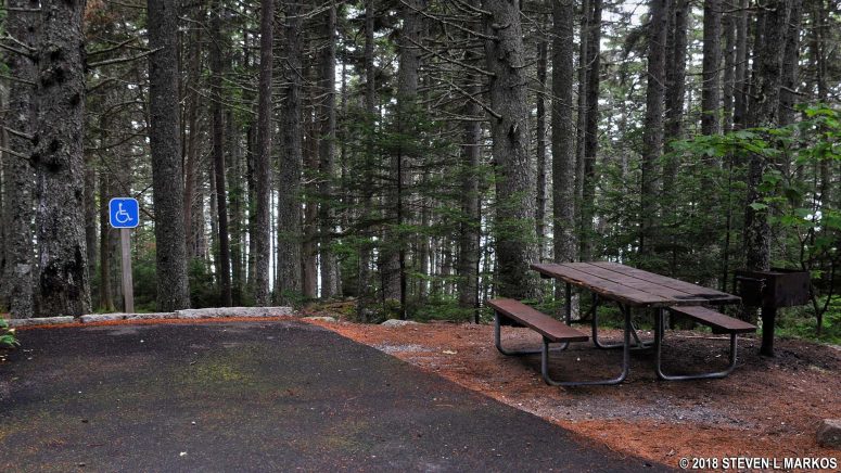 Parking space for the disabled visitor picnic table at the Pretty Marsh Picnic Area in Acadia National Park