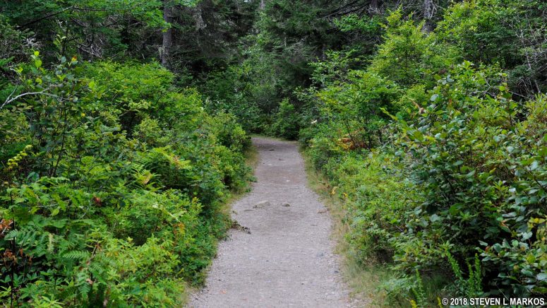 Wonderland Trail in Acadia National Park