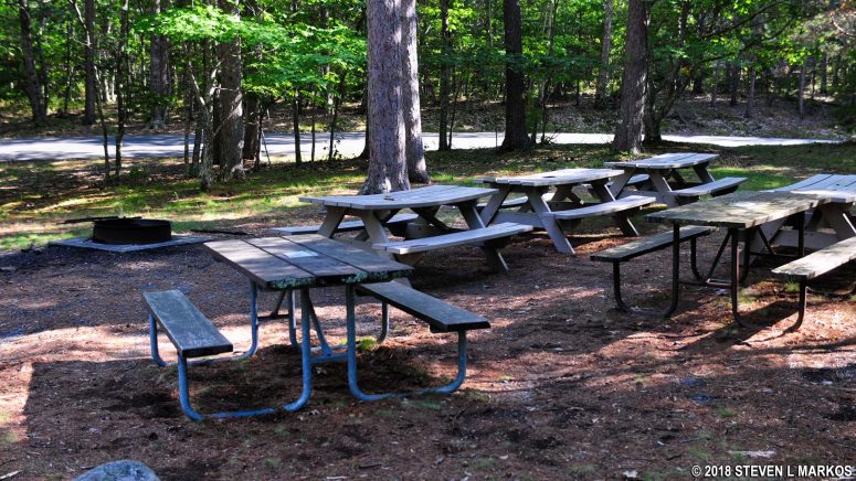 Large group of tables in the Bear Brook Picnic Area at the end of the loop road, Acadia National Park