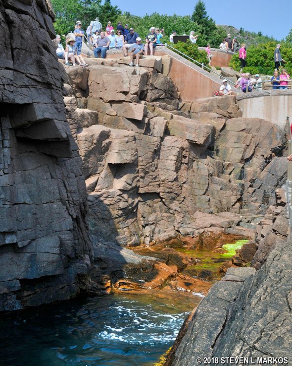 Morning light shines into Thunder Hole at Acadia National Park