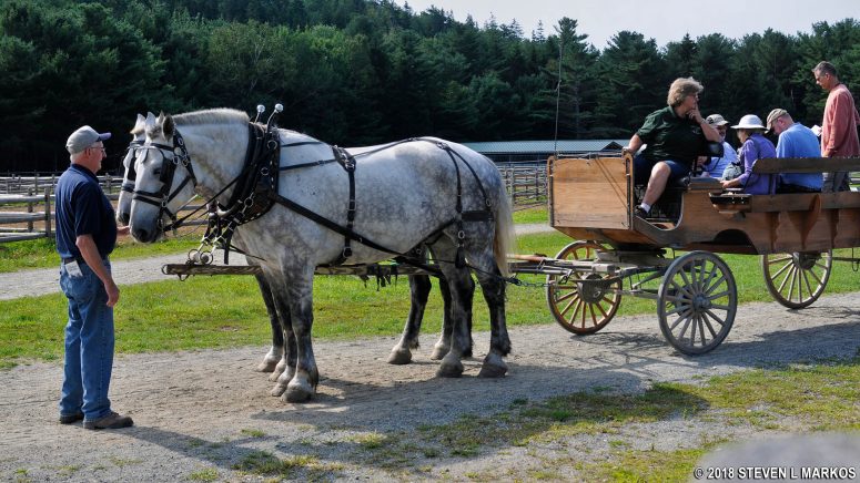Getting ready for a carriage ride at Acadia National Park