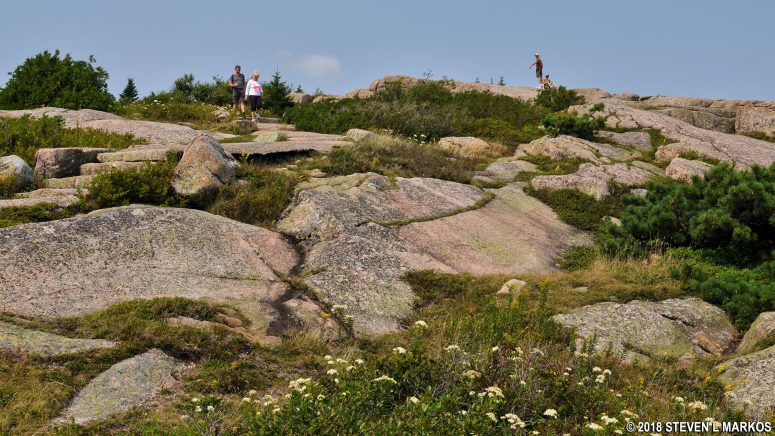 View towards the summit of Cadillac Mountain, Acadia National Park