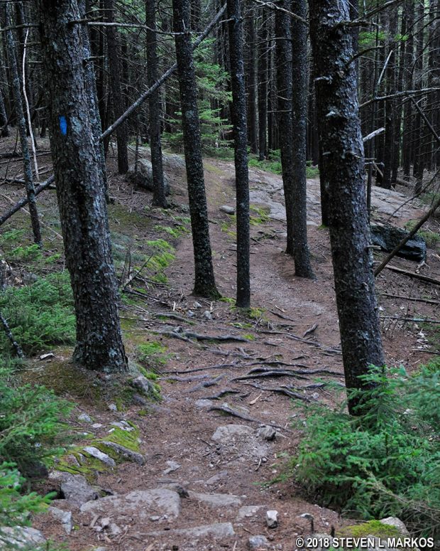 Acadia Razorback Acadia National Park | PERPENDICULAR TRAIL LOOP HIKE | Bringing you ...