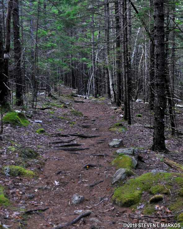Typical terrain on the mountain section of the Long Pond Trail in Acadia National Park
