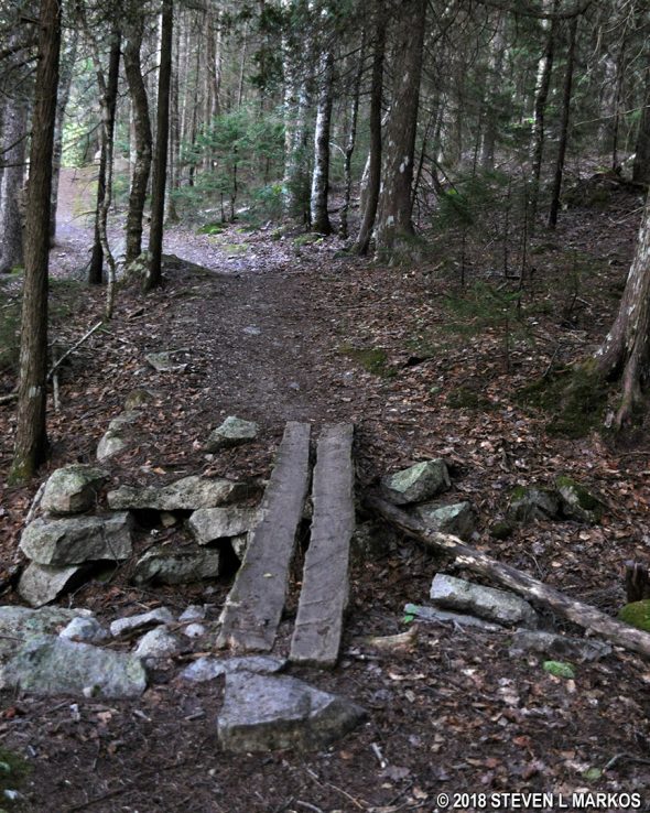 Log bridge across a muddy area in Acadia National Park