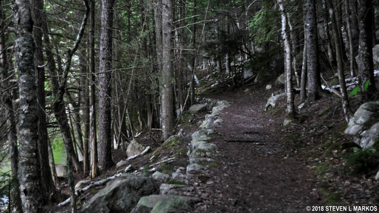 Trees between the Long Pond Trail and Long Pond obscure the view for much of the way, Acadia National Park