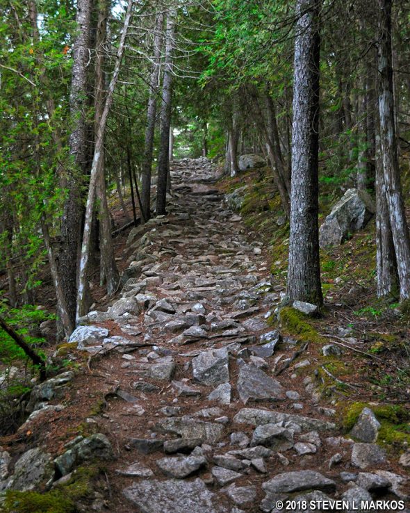 Rocky section of the Long Pond Trail in Acadia National Park
