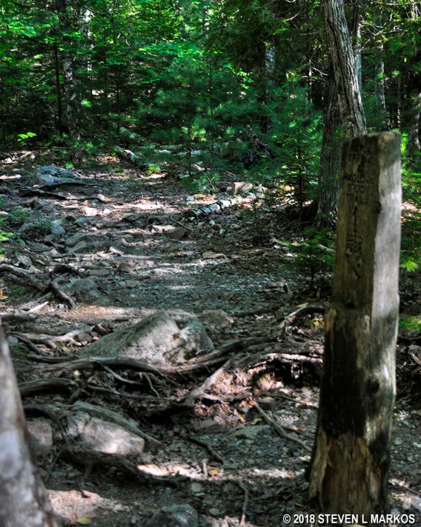 Trailhead for the Bald Peak Trail at the intersection with the Hadlock Brook Trail, Acadia National Park