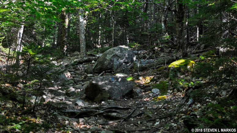 Blue blazes painted on boulders mark the Bald Peak Trail at Acadia National Park