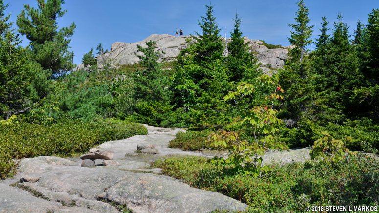 Summit of Parkman Mountain in Acadia National Park