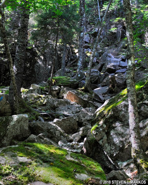 Terrain on the descent from the Parkman Mountain summit the Grandgent Trail at Acadia National Park