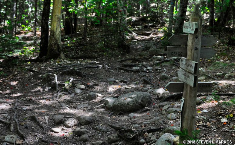Intersection of the Giant Slide and Grandgent trails, Acadia National Park