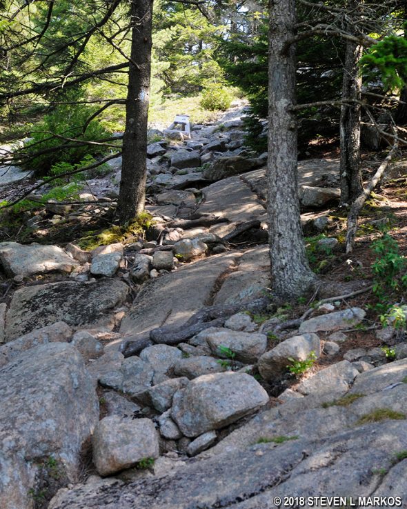 Start of the ascent up Gilmore Peak on the Grandgent Trail in Acadia National Park