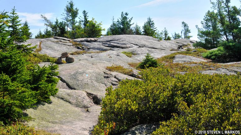 Terrain on the upper section of the Grandgent Trail in Acadia National Park