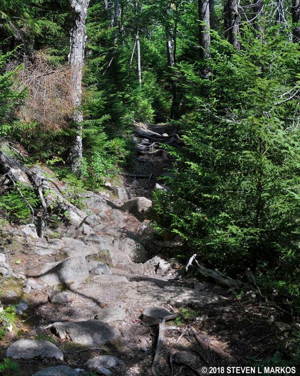 Rocky terrain on the hike down Gilmore Peak on the Grandgent Trail in Acadia National Park