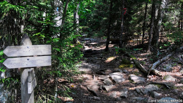 Typical terrain on the Grandgent Trail in the valley between Gilmore Peak and Sargent Mountain, Acadia National Park