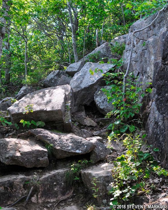 Boulder field on the East Cliffs Trail in Acadia National Park