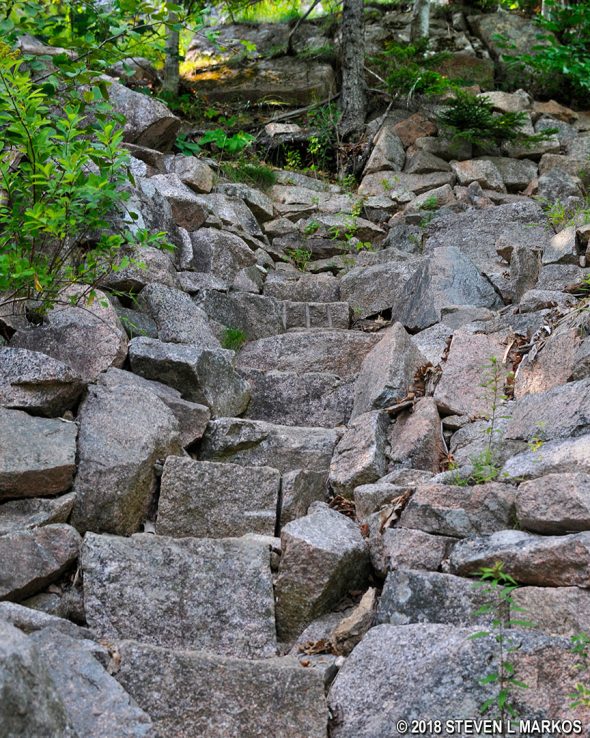 Stone staircase on the East Cliffs Trail in Acadia National Park