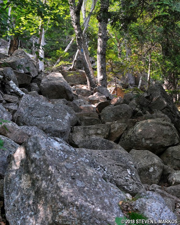 View up the East Cliffs Trail in Acadia National Park