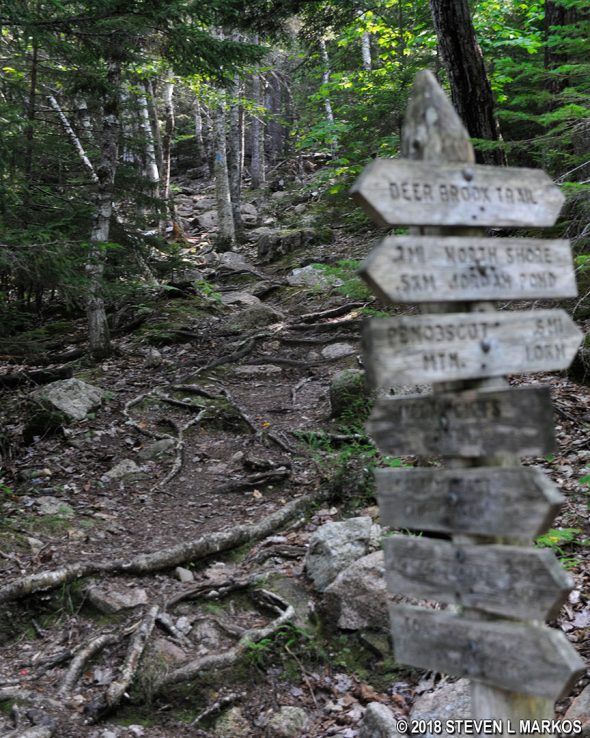 Start of the Jordan Cliffs Trail in Acadia National Park