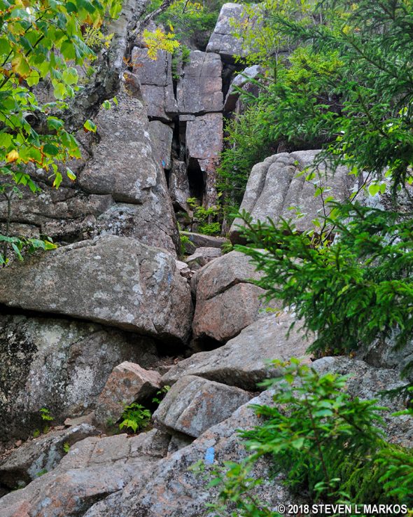 Rock wall at the start of the hike up Penobscot Mountain on the Penobscot East Trail in Acadia National Park