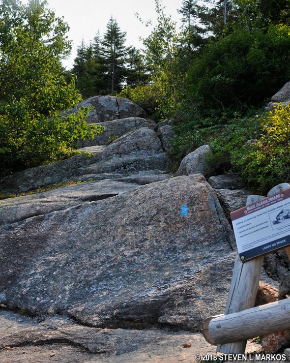Typical terrain on the exposed granite section of the Penobscot East Trail in Acadia National Park