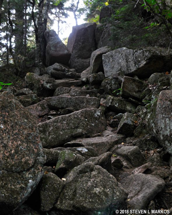 Extremely rocky terrain just past the Penobscot Mountain Trail / Deer Brook Trail intersection, Acadia National Park