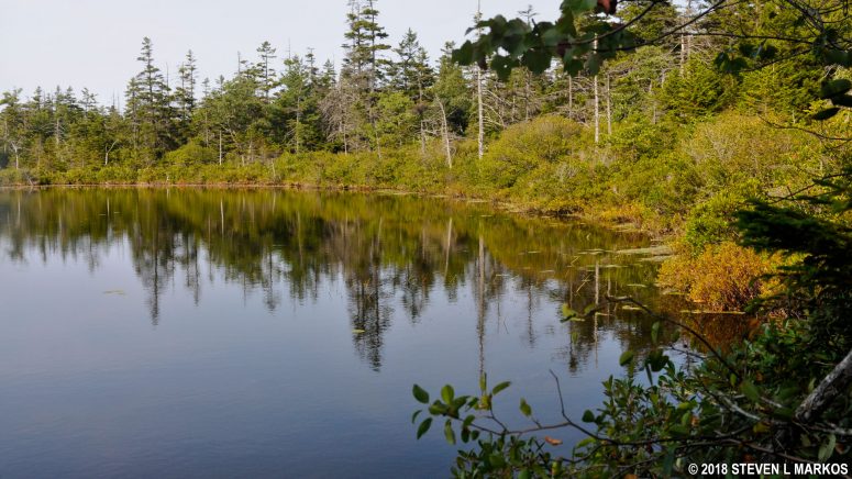 Sargent Mountain Pond in Acadia National Park