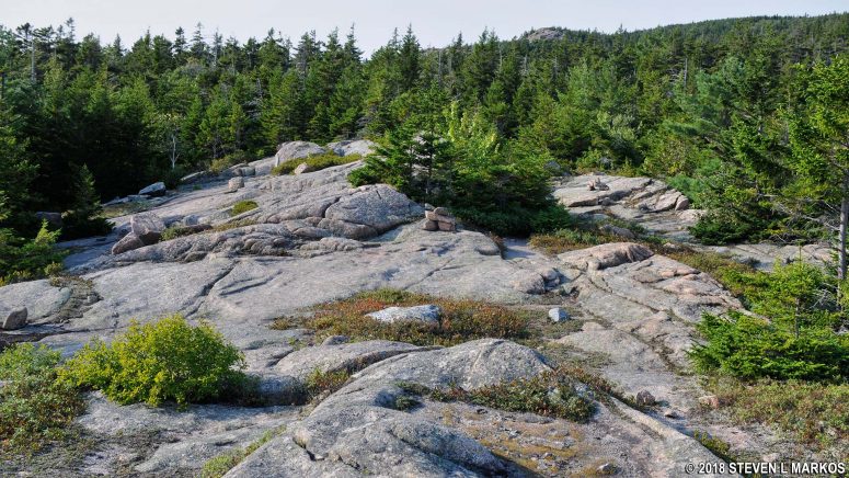 Granite surface of the Sargent South Ridge Trail in Acadia National Park