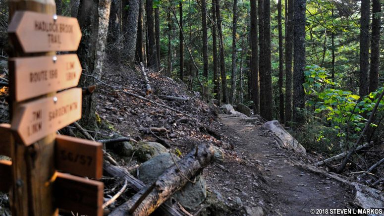 Start of the Hadlock Brook Trail in Acadia National Park