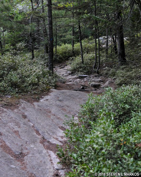Typical terrain between the Hadlock Pond and Bald Peak trails intersection, Acadia National Park