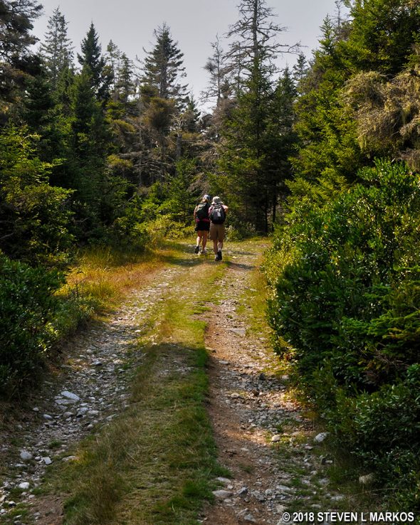 Western Head Road on Acadia National Park's Isle au Haut