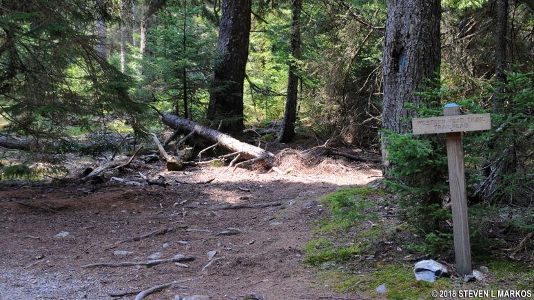 Start of the Western Head Trail at Isle au Haut, Acadia National Park