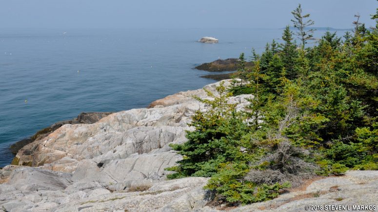 Southern shore of Acadia National Park's Isle au Haut