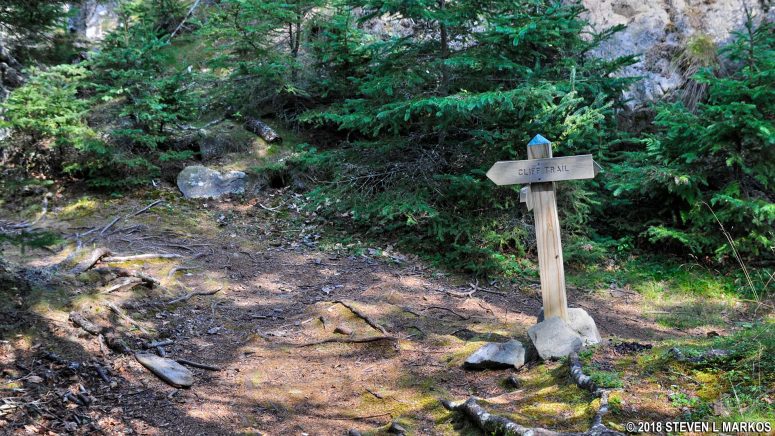 Intersection on the Western Head and Cliff trails on Isle au Haut, Acadia National Park