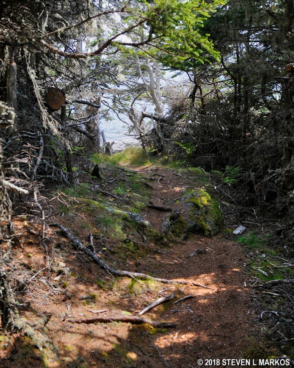 Typical terrain at the southern end of the Cliff Trail on Acadia National Park's Isle au Haut