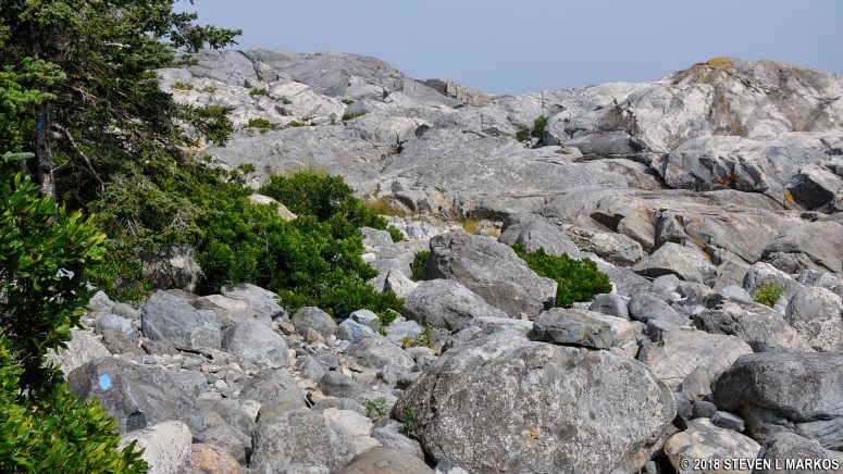 Boulder field on the Cliff Trail at the southern end of Acadia National Park's Isle au Haut