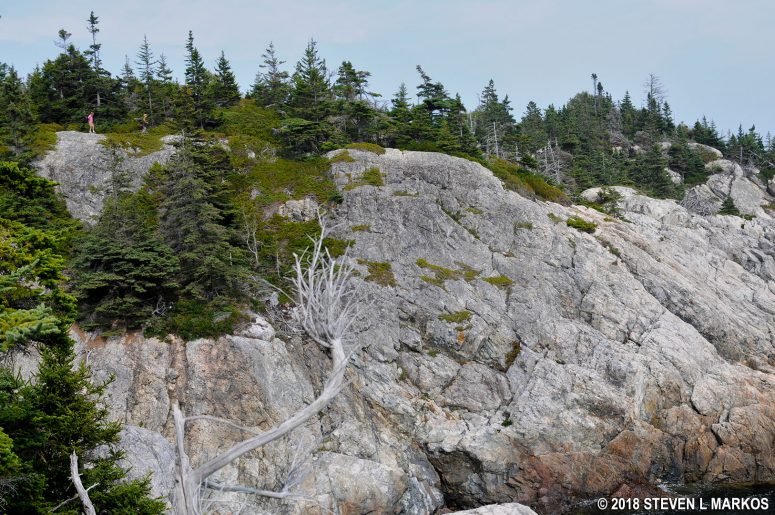 Hikers high above the shore on the Cliff Trail at Acadia National Park's Isle au Haut