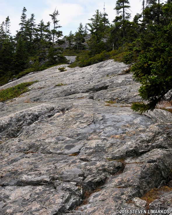 Rocky terrain along the Duck Harbor Mountain Trail on Acadia National Park's Isle au Haut