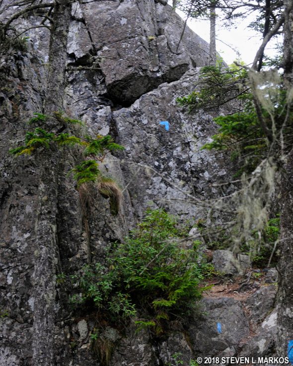 Second rock wall on the east side of the Duck Harbor Mountain Trail on Acadia National Park's Isle au Haut