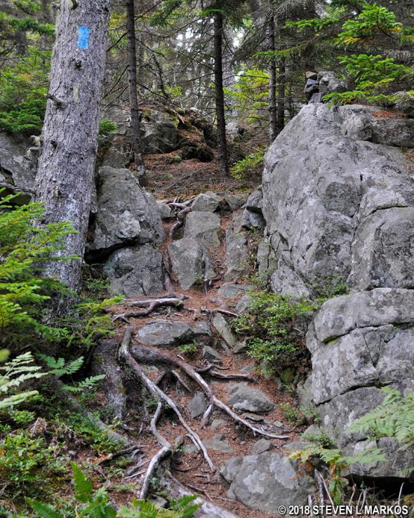Typical terrain on the way up Duck Harbor Mountain on Acadia National Park's Isle au Haut
