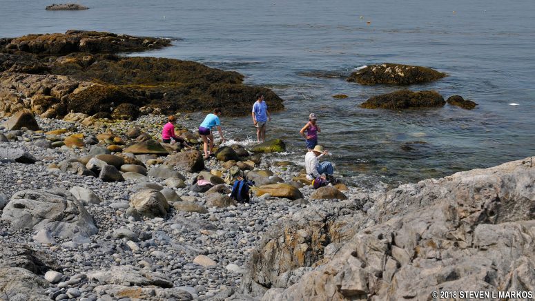 Cobblestone beach on the southwest coast of Isle au Haut in Acadia National Park