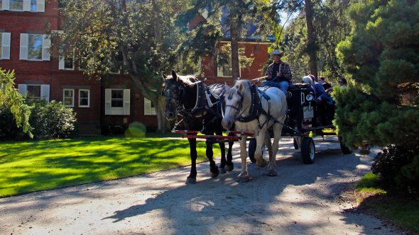 Horse-drawn carriage at Marsh-Billings-Rockefeller National Historical Park (photo by the National Park Service)