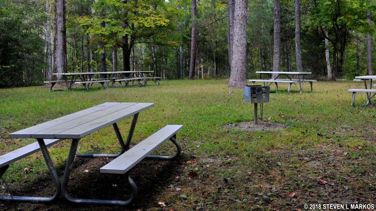 Picnic tables and grill located in the shaded field at the Horseshoe Bend National Military Park Visitor Center Picnic Area
