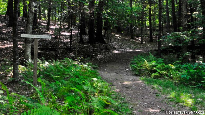 Turnoff from the carriage road for the North Peak and Precipice trails, Marsh-Billings-Rockefeller National Historical Park