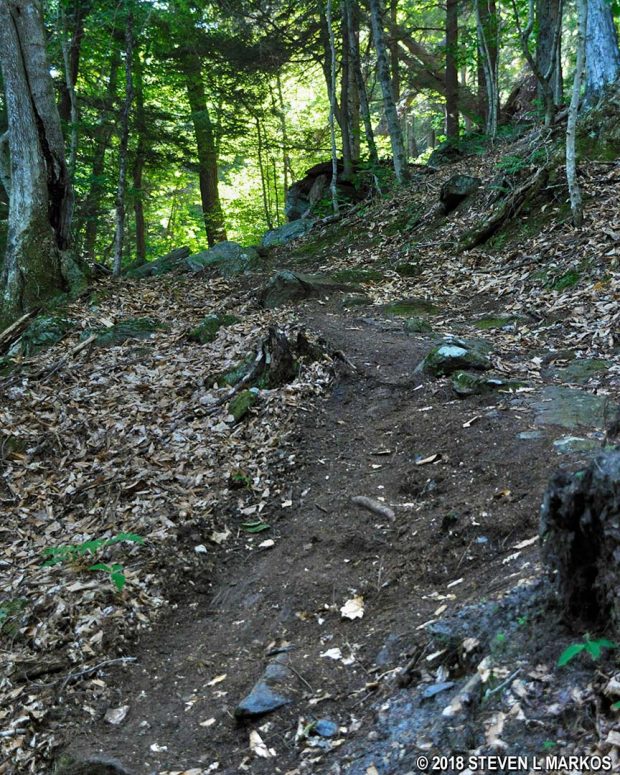 Steep grade and rough trail surface of the Precipice Trail in Billings Park, Woodstock, Vermont