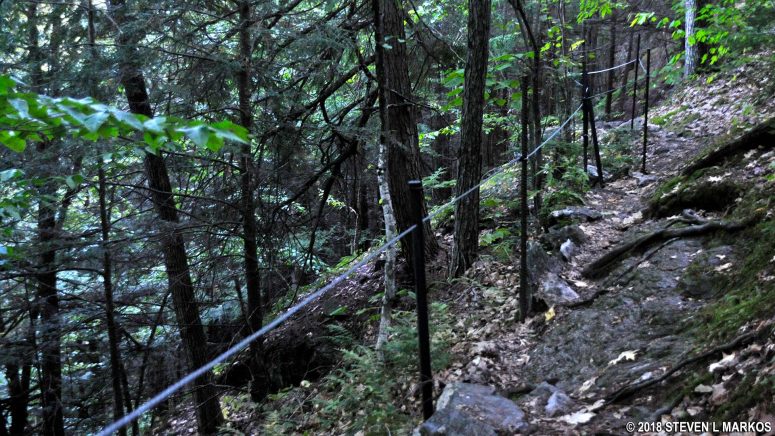 Wire guardrail along the steeper sections of the Precipice Trail in Billings Park, Woodstock, Vermont